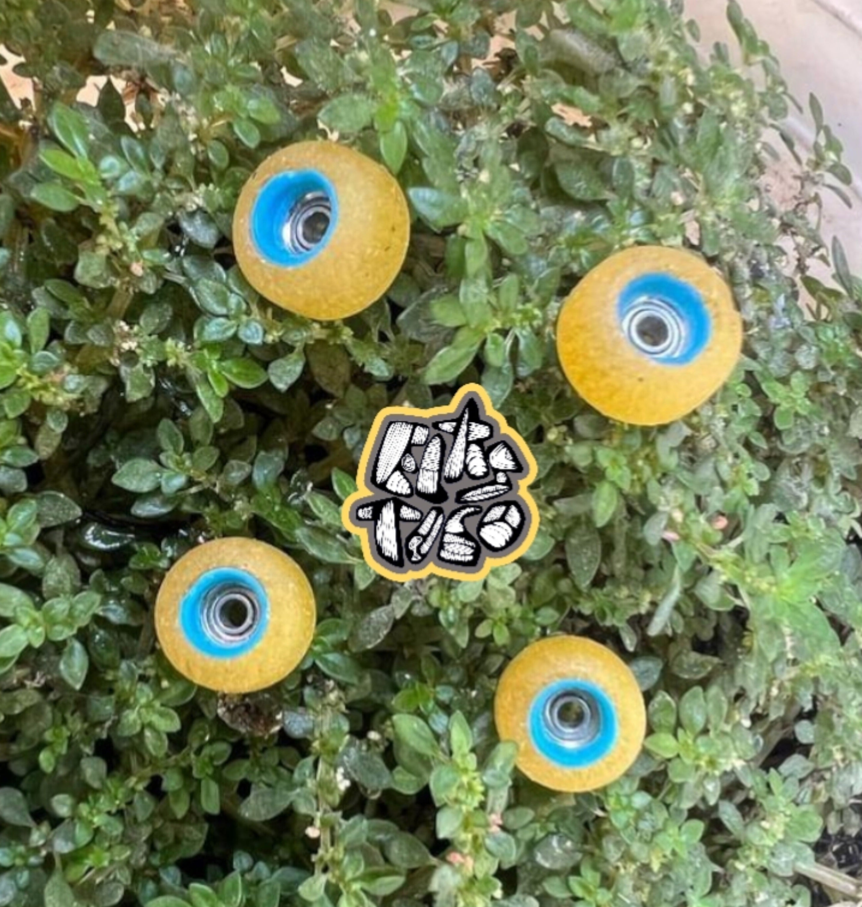 Elastico - Soft Wheels YELLOW SUBMARINE